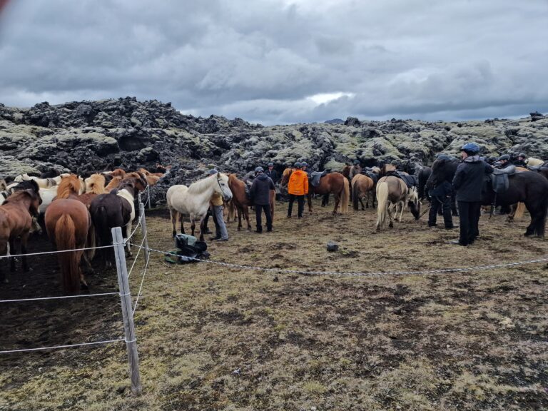 Ein Íslandsferð