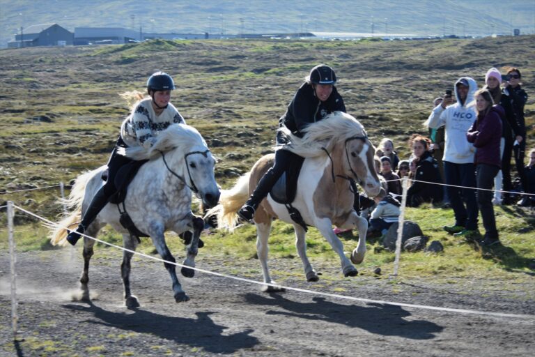 FM í kappríðing byrjar 6 juni